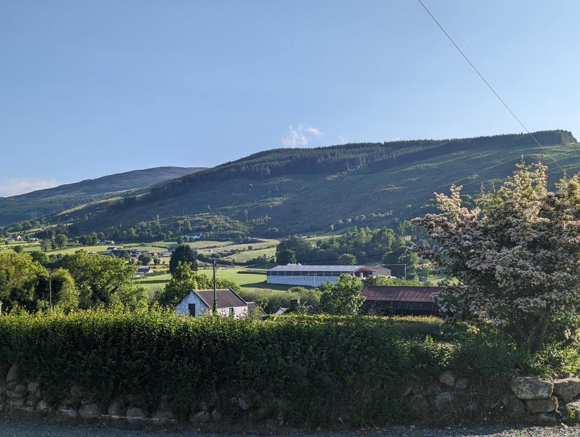 Killeavy Cottage Meigh 外观 照片