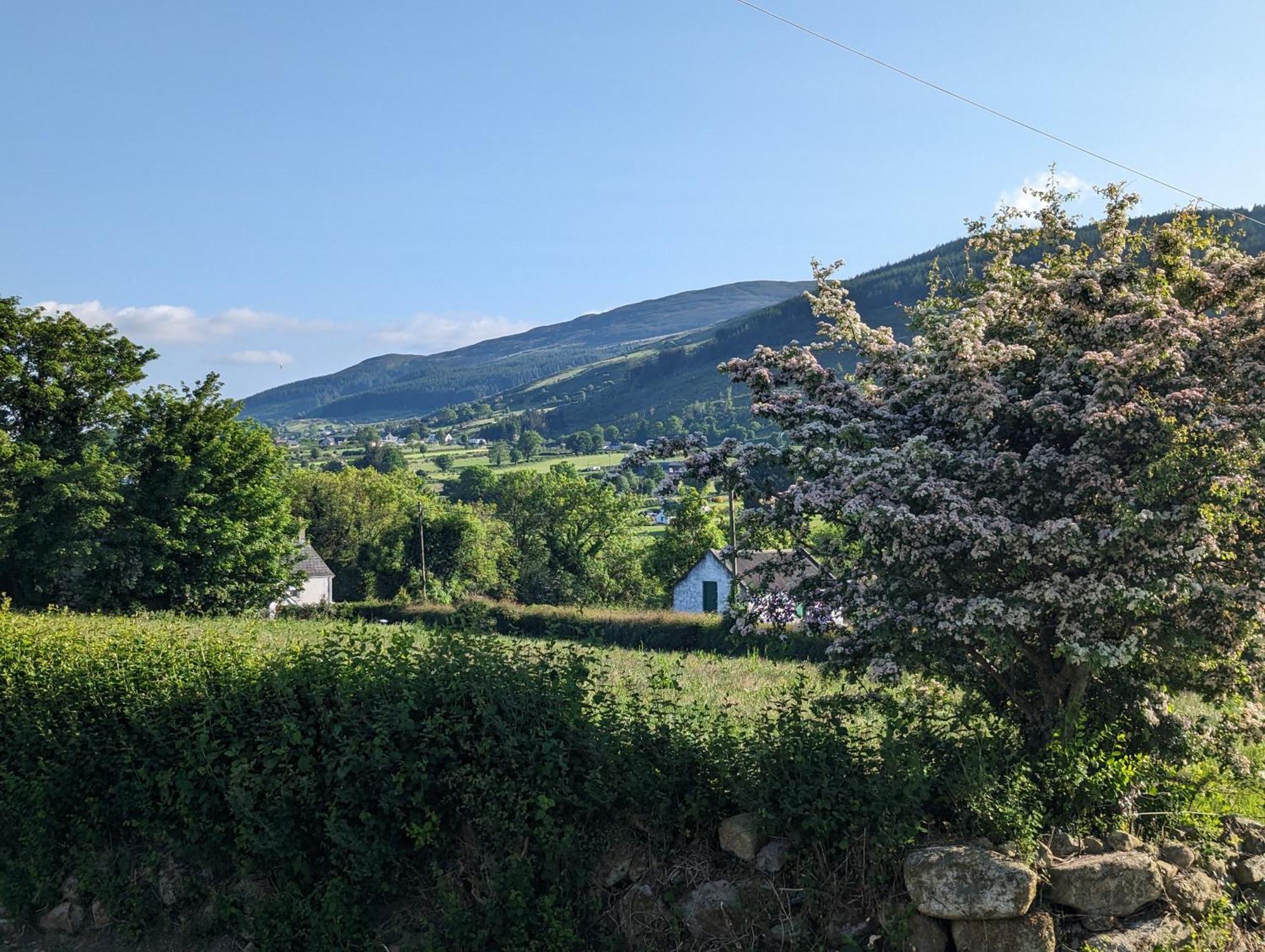 Killeavy Cottage Meigh 外观 照片