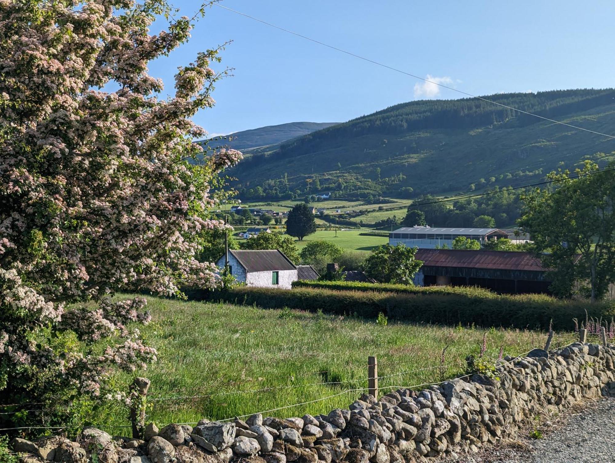 Killeavy Cottage Meigh 外观 照片