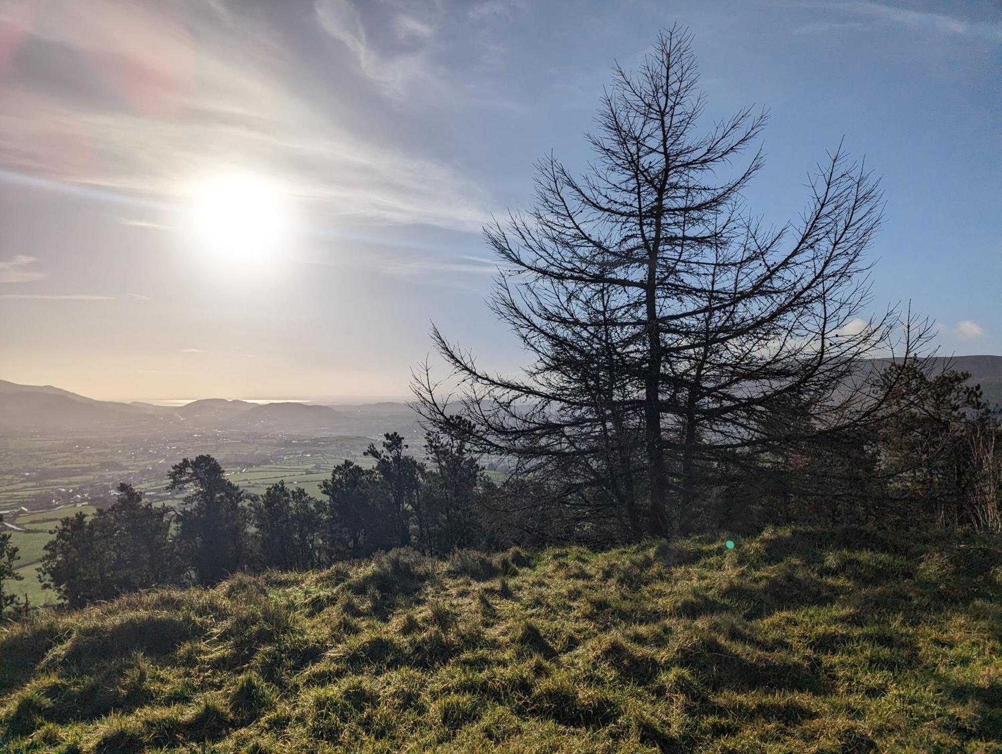 Killeavy Cottage Meigh 外观 照片