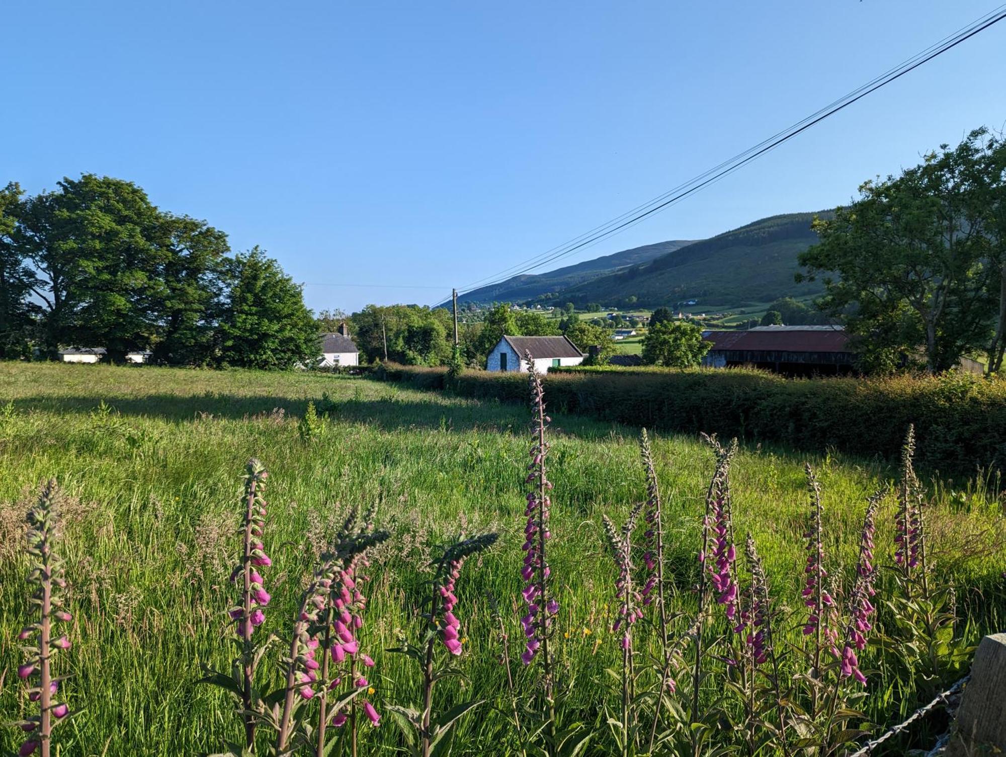 Killeavy Cottage Meigh 外观 照片